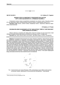 Влияние селена на микробиоту прикорневой зоны фасоли сорта «Сакса без волокна 615 » (Phaseolus vulgaris L.)