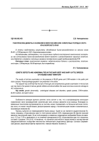 Генетические дефекты и аномалии в молочно-мясном и молочных породах скота Красноярского края