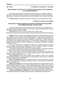 Влияние диаметра сеянцев на рост и репродуктивное развитие 41-летних деревьев сосны кедровой сибирской