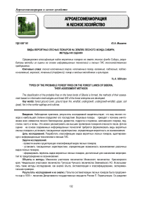 Виды вероятных лесных пожаров на землях лесного фонда Сибири, методы их оценки