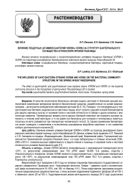 Влияние пещерных штаммов бактерий VDR5M и VDR5K на структуру бактериального сообщества в ризосфере яровой пшеницы