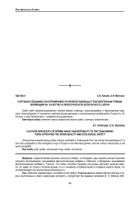 Сортовая специфика восприимчивости яровой пшеницы к токсикогенным грибам, влияющим на качество и экологическую безопасность зерна