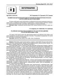 Полимеразная цепная реакция в диагностике микоплазмозов крупного рогатого скота в хозяйствах Восточной Сибири