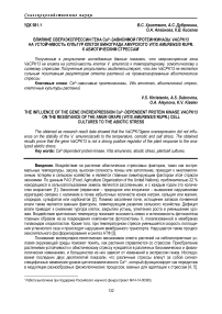 Влияние сверхэкспрессии гена Са 2+-зависимой протеинкиназы VaCPK13 на устойчивость культур клеток винограда амурского Vitis amurensis Rupr. к абиотическим стрессам