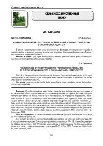 Влияние экологических факторов на формирование посевных качеств сои в Красноярской лесостепи