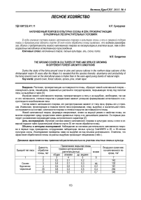 Напочвенный покров в культурах сосны и ели, произрастающих в различных лесорастительных условиях