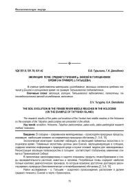 Эволюция почв среднего течения р. Енисей в голоценовое время (на примере о. Татышева)