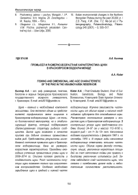 Промысел и размерно-возрастная характеристика щуки в Красноярском водохранилище