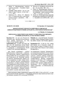 Морфологические особенности и изменчивость компонентов семенной продуктивности Paeonia lactiflora Pall. в Якутском ботаническом саду