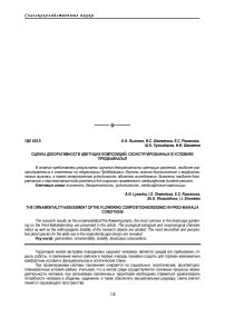 Оценка декоративности цветущих композиций, сконструированных в условиях Предбайкалья