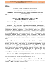 Болезни декоративных хвойных пород в городских условиях Узбекистана