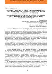 Состояние спелых и перестойных сосняков национального парка "Бузулукский бор" и основные факторы, нарушающие их биоэкологическую устойчивость