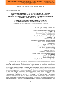 Некоторые особенности анатомического строения вегетативных побегов видов рода Rebutia k. schum. семейства Cactaceae Juss. в условиях защищенного грунта Донецкого ботанического сада