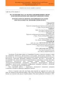 Исследование роста и экспрессии выявленных лигно- и целлюлозолитических микроорганизмов в торфе