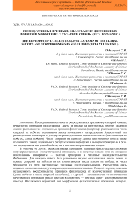 Репродуктивные признаки, филлотаксис цветоносных побегов и морфогенез у сахарной свеклы (Beta vulgaris L.)