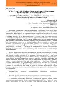 О функциональной морфологии организма: сегментация и компартментализация биосистемы