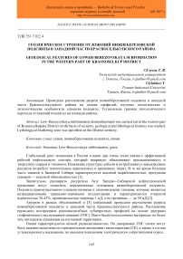 Геологическое строение отложений нижнеберезовской подсвиты в западной части Красноселькупского района