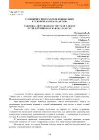 Разновидности и хранение плодов дыни в условиях Каракалпакстана