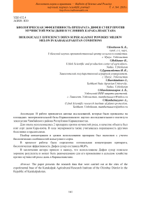 Биологическая эффективность препарата Дифен Супер против мучнистой росы дыни в условиях Каракалпакстана