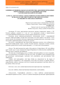 Клинико-функциональная характеристика декомпенсированных форм блоков в структурах нервной системы у детей в Киргизской Республике