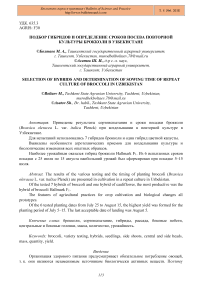 Подбор гибридов и определение сроков посева повторной культуры брокколи в Узбекистане