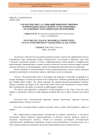 Характеристика ассоциаций микроорганизмов в прибрежных водах морей, расположенных в различных географических положениях