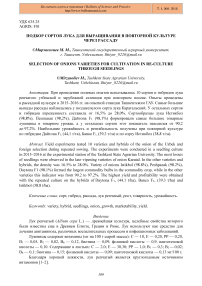 Подбор сортов лука для выращивания в повторной культуре через рассаду