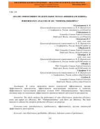 Анализ эффективности деятельности ПАО "Нижнекамскшина"