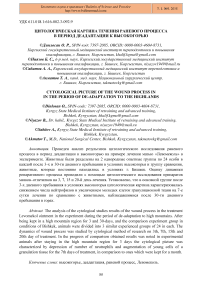 Цитологическая картина течения раневого процесса в период деадаптации к высокогорью