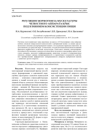 Регуляции морфогенеза мускулатуры челюстного аппарата крыс под влиянием консистенции пищи