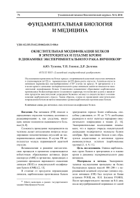 Окислительная модификация белков в эритроцитах и плазме крови в динамике экспериментального рака яичников