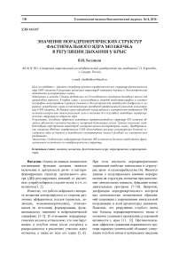 Значение норадренергических структур фастигиального ядра мозжечка в регуляции дыхания у крыс