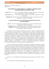 Урожайность хлопчатника в условиях такырных почв, подверженных ветровой эрозии