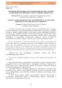 Изменение интенсивности транспирации листьев у яблони в зависимости от времени суток в условиях Узбекистана