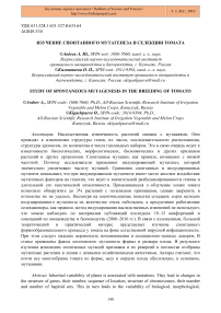 Изучение спонтанного мутагенеза в селекции томата