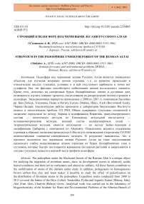 Стронций в педосфере под черневыми лесами русского Алтая