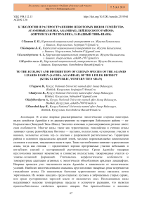 К экологии и распространению некоторых видов семейства агамовые (Sauria, Agamidae) Лейлекского района (Киргизская Республика, Западный Тянь-Шань)