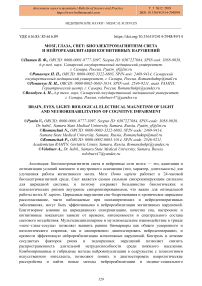 Мозг, глаза, свет: биоэлектромагнитизм света и нейрореабилитация когнитивных нарушений