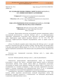 Исследование индикативных свойств Medicago sativa L. в условиях нефтяного загрязнения