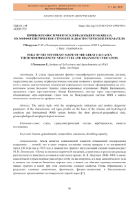 Почвы юго-восточного склона Большого Кавказа, их морфогенетическое строение и диагностические показатели