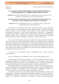 Актуальность получения новых сортов озимой тритикале, адаптированных к условиям конкретного региона