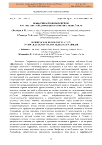 Биофизика кровообращения при сосудистой деменции и болезни Альцгеймера