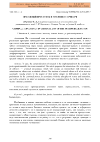 Уголовный проступок в уголовном праве РФ