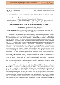 Зеленые водоросли планктона реки Обь в районе города Сургут