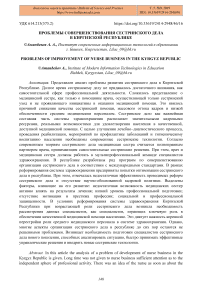 Проблемы совершенствования сестринского дела в Киргизской Республике