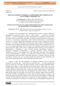 Обзор насекомых агроценоза хлопчатника восточной части Республики Туркменистан