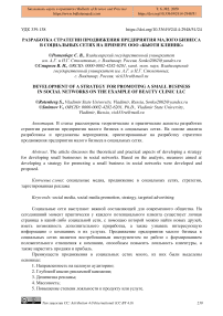 Разработка стратегии продвижения предприятия малого бизнеса в социальных сетях на примере ООО «Бьюти клиник»