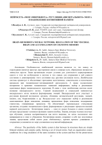 Нейросеть "мозг-микробиота": регуляция "висцерального" мозга и накопление когнитивной памяти