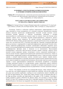 Основные аспекты профилактики и подходы к лечению хронической болезни почек