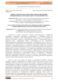 Оценка токсического действия аминогликозидных антибиотиков на образовательную ткань корней лука